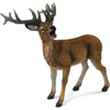 Image de COLLECTA Cerf élaphe