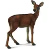 Image de Collecta doe 88470 84707