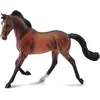Image de COLLECTA Jument pur-sang brune