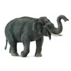 Image de Éléphant d'Asie