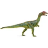 Image de COLLECTA Liliensternus - (L)