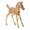 Image de Haflinger poulain debout 88516 COLLECTA