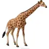 Image de Girafe réticulée
