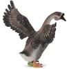 Image de COLLECTA Houser