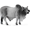 Image de Byk brahman