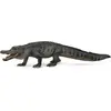 Image de COLLECTIF Alligator d'Amérique