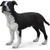 Image de Collecta - American Staffordshire Terrier -L- 88610 (90188610) COLECTA
