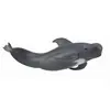 Image de Collecta Calderon Pilotwal Figur Grau 3-6 Years Grau 3-6 Years
