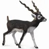 Image de Figurine d'antilope blackbuck peinte à la main