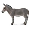 Image de COLLECTA Poisson-chat africain