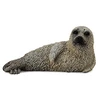 Image de Collecta 88681 Largha bébé phoque 5 cm Animaux aquatiques