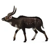 Image de COLLECTA Yala de montagne - (L)
