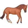 Image de Etalon australien Stock Orse Mare 88712 COLLECTA
