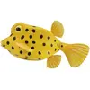 Image de COLLECTA Aubépine jaune-brun