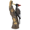 Image de Collecta Animaux de la forêt Bec d'ivoire -Pic 4,3 x 10 cm