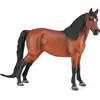 Image de Cheval Morgan Bay