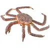 Image de Crabe royal