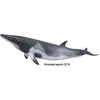 Image de Collecta Speel Figurine nain Vinvis Gray 20 x 6 cm
