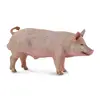 Image de Collecta - Cochon mâle (88864) COLECTA