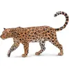 Image de Léopard africain