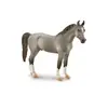 Image de COLLECTA Étalon Marwari gris - 1:20