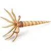 Image de Collecta Orthoceras L-figur Beige 3-6 Years Beige 3-6 Years