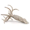 Image de Collecta Figure Belemnite Multicolore 3-6 Years Multicolore 3-6 Years