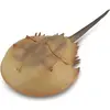 Image de Collecta Speeldier Prehistorie Crabe d'épée 15 cm Abs Braun