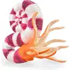 Image de COLLECTA Pravitoceras - (L)