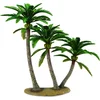 Image de Noix de coco Deluxe - Collecta