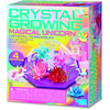 Image de 4M DIY set Magical Unicorn crystal terrarium