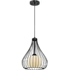 Image de Suspension Cage Boule de Verre Noir Mat avec 1 source lumineuse