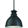 Image de Suspension Vintage Industrial Gun Metal avec 1 source lumineuse