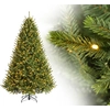 Image de Evergreen Sapin de Noël artificiel Richmond Sapin avec LED Vert 228 cm