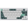 Image de Keychron Q1 HE Clavier sans fil RGB Nebula Commutateur magnétique (Blanc) [Q1H-P1]