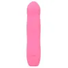 Image de B Swish   BDESIRED INFINITE DELUXE Vibromasseur Beauty Edition   Rose