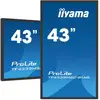Image de iiyama ProLite TF4339MSC-B1AG écran plat de PC 109,2 cm (43 ) 1920 x 1080 pixels Full HD LED Écran tactile Multi-utilisateur Noir - Neuf