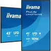 Image de Moniteur Iiyama 43 4K Ultra HD LCD - Neuf