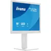 Image de iiyama ProLite B1980S-W1 écran plat de PC 48,3 cm (19 ) 1280 x 1024 pixels SVGA LED Blanc - Neuf