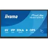 Image de IIYAMA 163.9cm(65") TE6512MIS-B4AG 16:9 Touch HDMI+DP+USB-C (Speditionsversand)