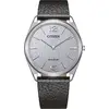 Image de Copie de la Citizen AR3120-16A n° 1