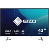 Image de Eizo 108Cm (42,5") Ev4340X-Wt 16:09 4K 2Xhdmi+Dp+Usb-C Ips