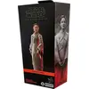 Image de Star Wars La Série Noire, Andor, Sénateur Mon Mothma, Action-Figur (ca. 15 cm), Sammelfigur, Actionfigur, Hasbro F5530
