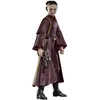 Image de Star Wars Episode I Black Series figurine Padmé Amidala 15 cm - Hasbro Action figure - HASG0025