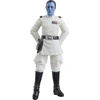 Image de Figurka Akcji Star Wars: Ahsoka - Grand Admiral Thrawn 10 cm Hasbro