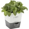 Image de Cole & Mason, pot à herbes Burwell avec système d'arrosage automatique, facile à utiliser