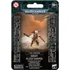 Image de Warhammer 40k - T'au Empire Mentor Dépeceur Kroot #DEFAULT