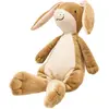Image de Arc-en-ciel devine combien je t'aime ! Lapin en peluche grand format
