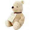 Image de Jouet souple Classic Pooh DN1460