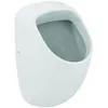 Image de Urinoirs - Urinoir, Arrivée D'Eau Arrière, Blanc E567101 - Ideal Standard